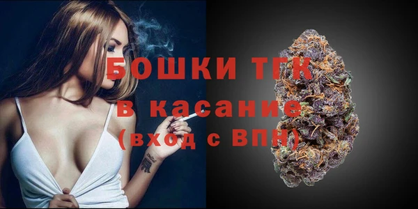 бошки Богородицк