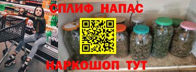 СК Гагарин