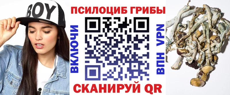 Галлюциногенные грибы Psilocybine cubensis  Карталы 