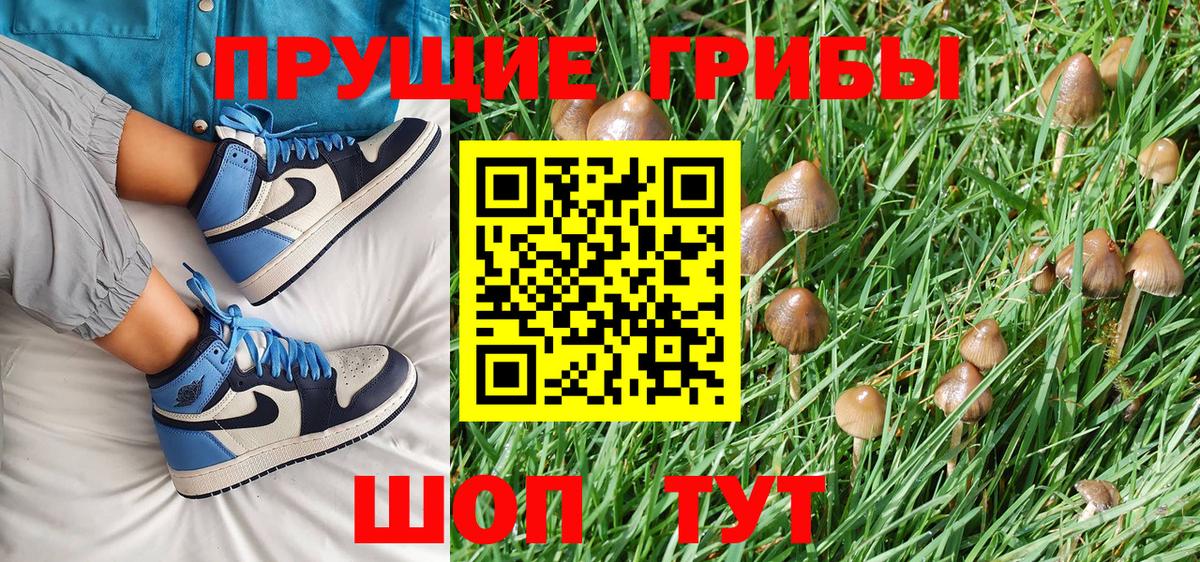 Псилоцибиновые грибы GOLDEN TEACHER Карталы