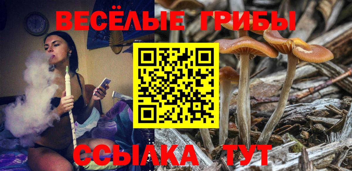 Галлюциногенные грибы Psilocybe  Галлюциногенные грибы Psilocybine cubensis  Карталы  Вход с VPN 
