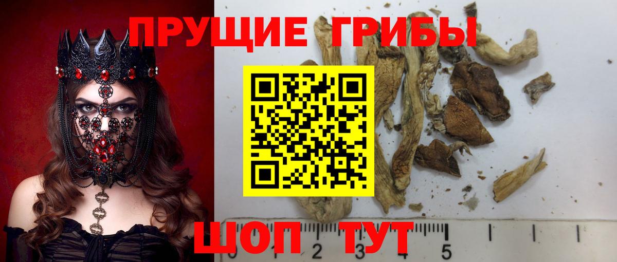 Галлюциногенные грибы мухоморы Карталы