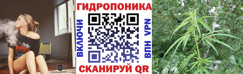 Шишки марихуана SATIVA & INDICA  Карталы 